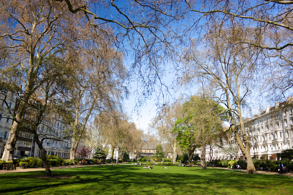 Best Pimlico Restaurants Reviews & Restaurant Guide Hardens